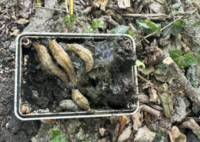 gareth walker electrical ltd facebook gallery 63